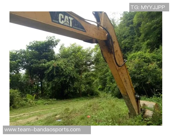 都灵希望之星遭遇重伤719天身价暴跌至250万的悲惨命运