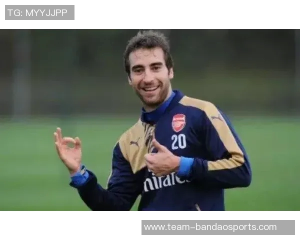 阿森纳旧将弗拉米尼商业成功资产超越克伦克达百亿镑